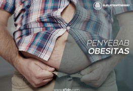 Penyebab Dan Cara Mencegah Obesitas Dengan Mengkonsumsi Makanan Sehat